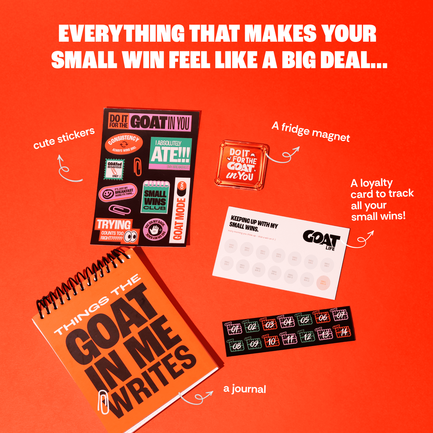 GOAT LIFE SMALL WINS BOX (PACK OF 14)