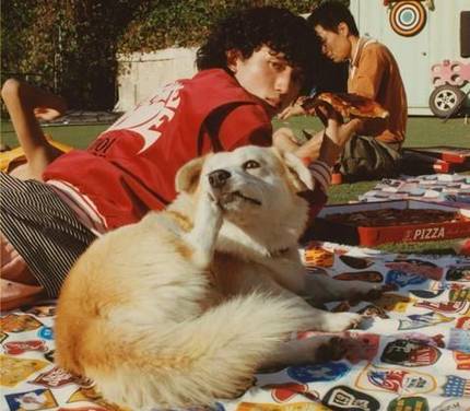 A dog lounging on a picnic blanket