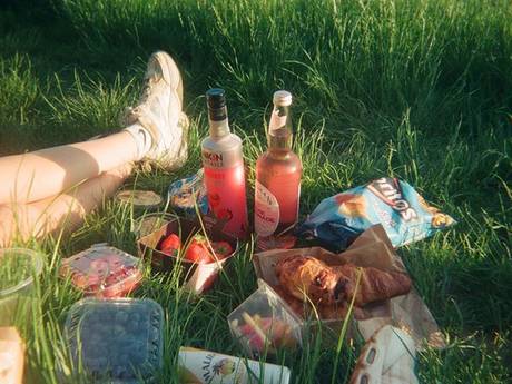 Picnic blankets under trees